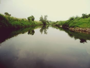 Reflection of trees in water