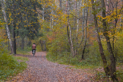 Man walking in forest during autumn