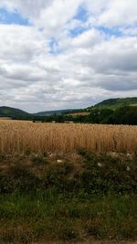 Scenic view of field against sky