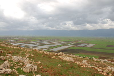 Scenic view of agricultural field against sky