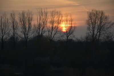 Silhouette bare trees against sky during sunset