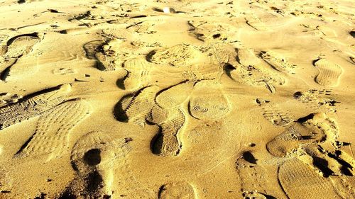 High angle view of footprints on sand at beach