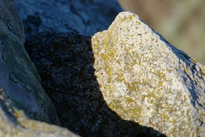 Close-up of rock in water