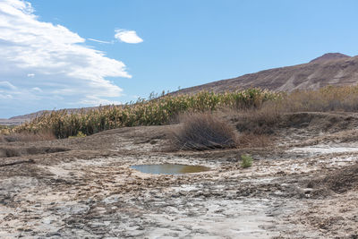 Sinkhole filled with turquoise water, near dead sea coastline. hole formed when underground salt is