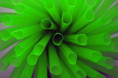 Green shape againts a light