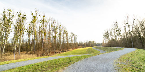 Road amidst trees on field against sky