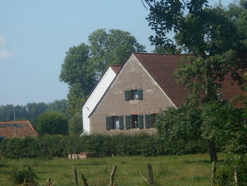 architecture