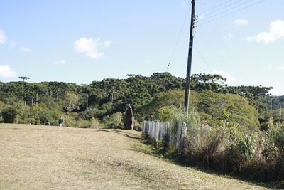 Trees on field against sky