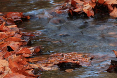 Stream flowing in water