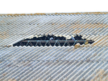 Low angle view of birds on roof