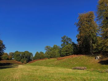 Trees on field against clear blue sky