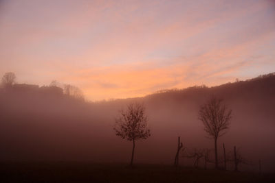 Silhouette trees on landscape against sky during sunset