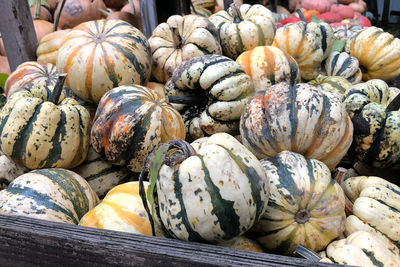 Close-up of pumpkins for sale at market stall