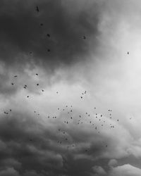 Flock of birds flying against sky