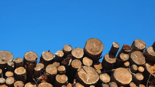 Stack of logs in forest against clear blue sky