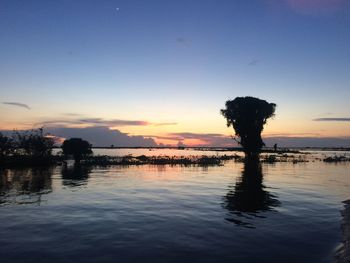 View of palm trees at sunset