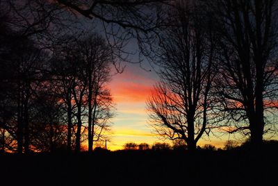 Silhouette bare trees against sky during sunset