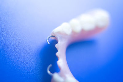 Close-up of dentures against blue background