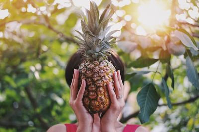 Close-up of woman holding pineapple against trees