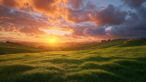 Scenic view of field against sky during sunset