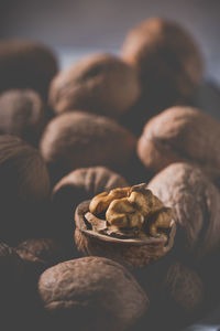 Close-up of mushrooms in container