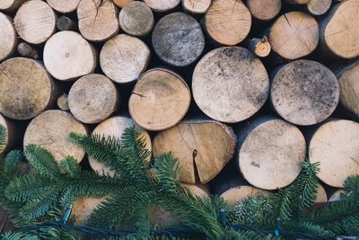 Full frame shot of logs