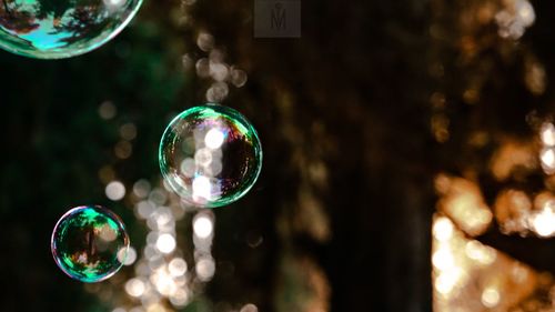 Close-up of bubbles flying outdoors