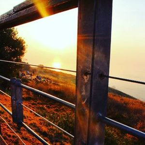 View of landscape at sunset