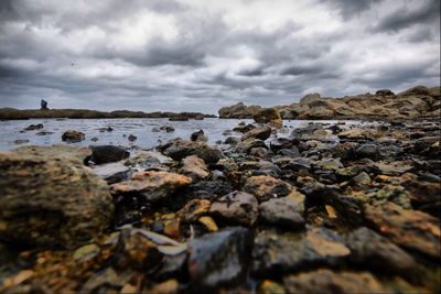 Surface level of pebbles on beach against sky