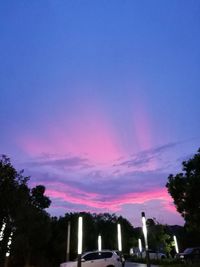 Illuminated trees against sky at night