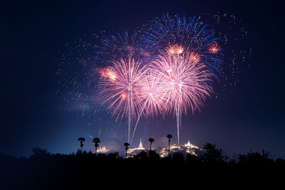 Low angle view of firework display at night