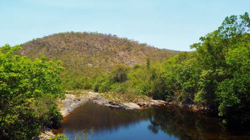 Scenic view of river in forest against clear sky
