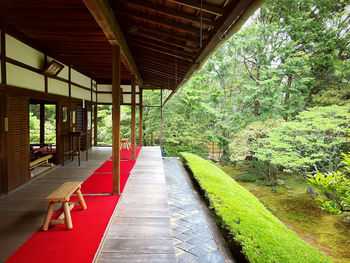 Walkway amidst plants and trees