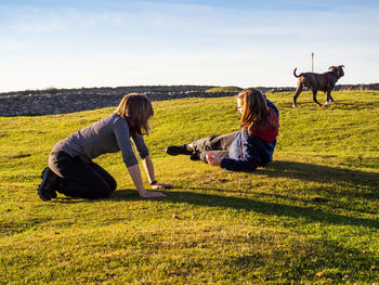 Horses and dog on field