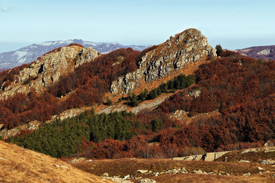 Rock formation and autumn foliage, italian mountains, appennino