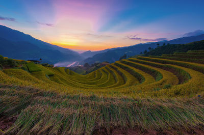 Scenic view of field against sky during sunset