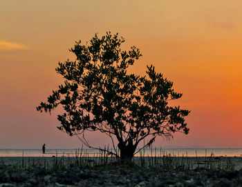 Silhouette tree by sea against sky during sunset