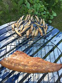 Close-up of meat on barbecue grill