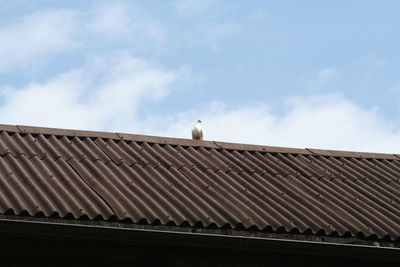 Low angle view of pigeons on roof against sky