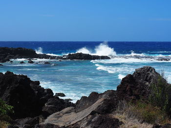 Waves pushed by the swell, crashing on the lava rocks