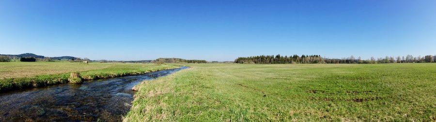 Scenic view of grassy field against blue sky