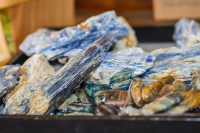 Close-up of fish for sale in market