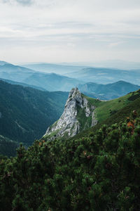 Mountain peaking in forest