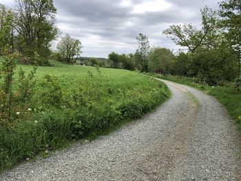 Road amidst plants and trees against sky