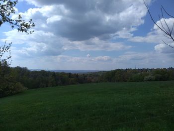 Scenic view of field against sky