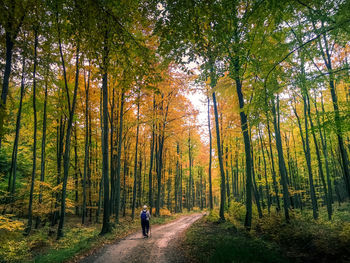 Rear view of woman walking on road in forest