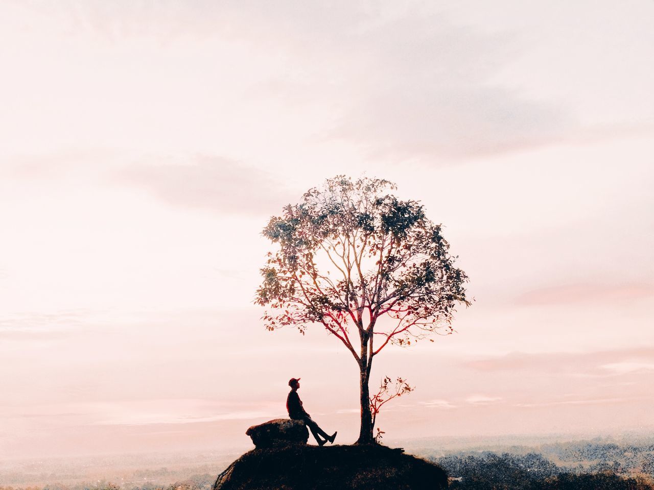 SILHOUETTE WOMAN STANDING BY TREE AGAINST SKY