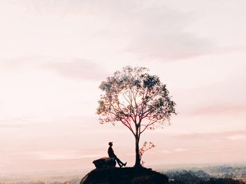 Silhouette person standing by tree against sky during sunset