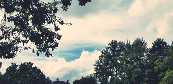 Low angle view of silhouette trees against sky