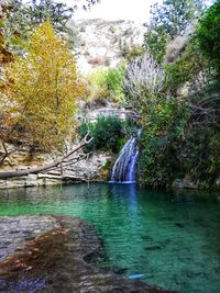 Scenic view of waterfall in forest during autumn